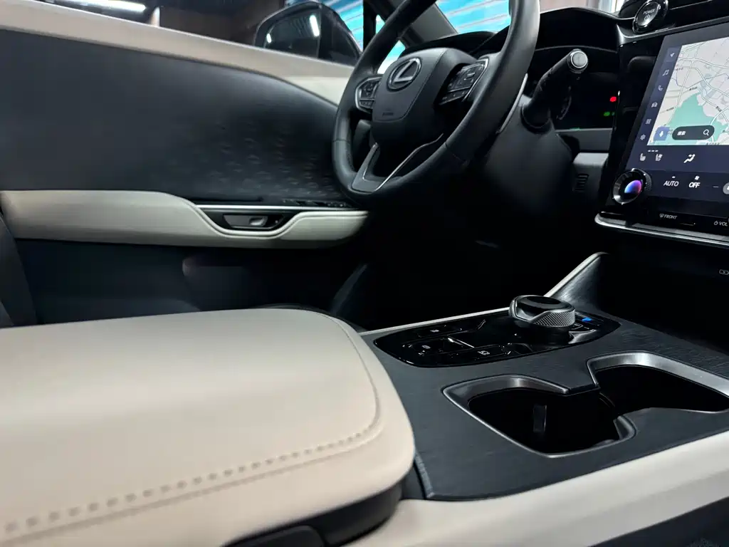 Lexus RZ 2023 — фото 13
