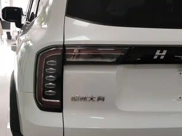 Haval Big Dog 2023 — фото 15