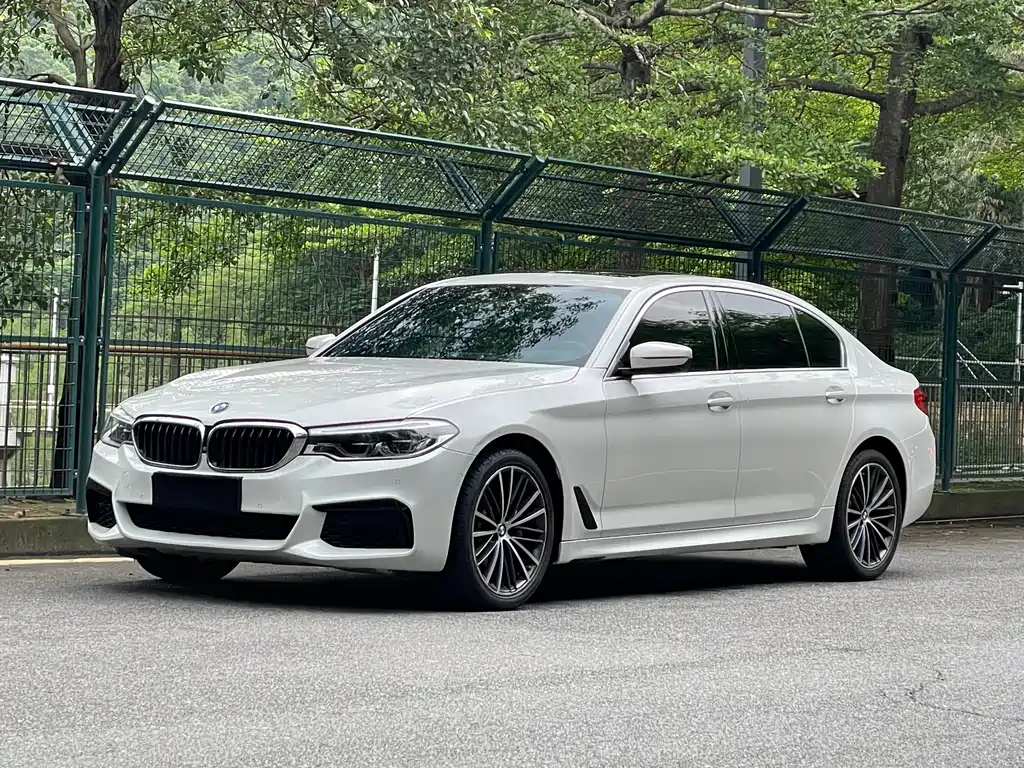 BMW 5 Series 2020