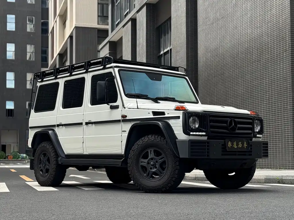 Mercedes-Benz G-Class 2016 — фото 10