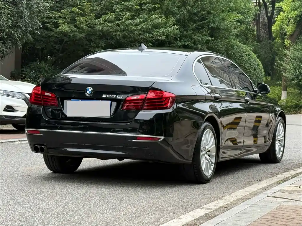 BMW 5 Series 2014