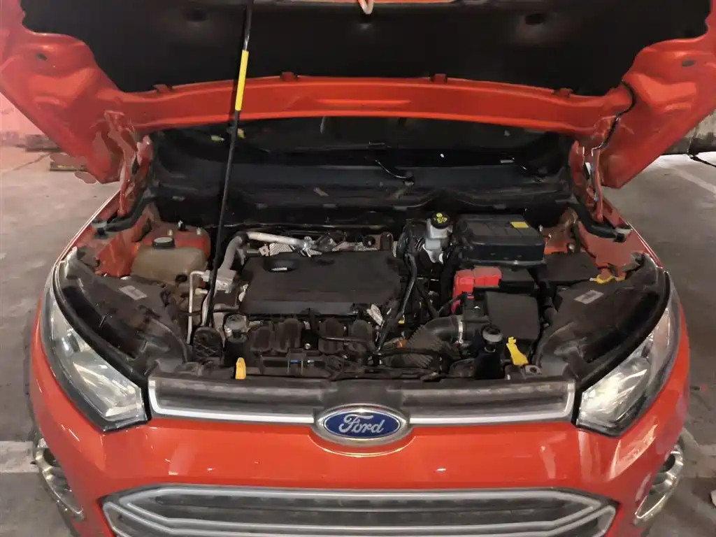 Ford Ecosport 2016 — фото 16