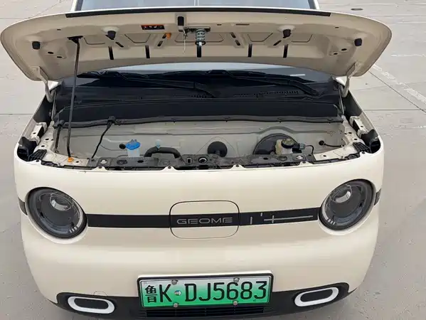 Geely Galaxy Panda 2025