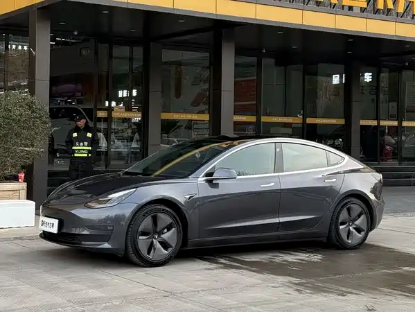 Tesla Model 3 2020