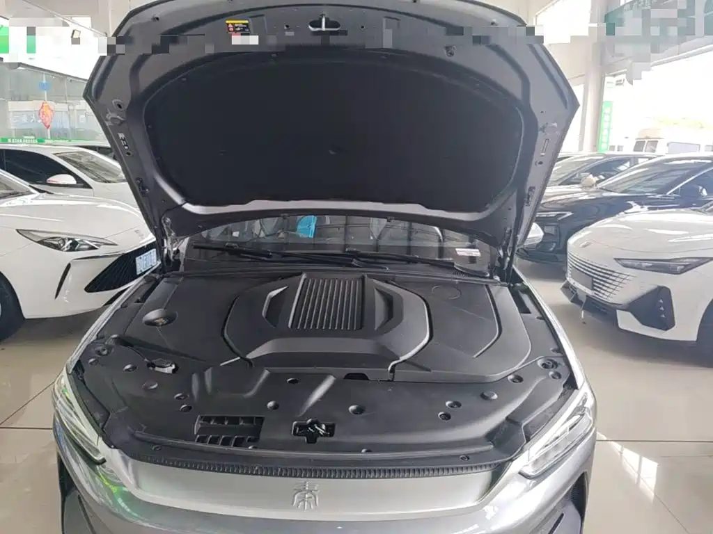 BYD Qin PLUS 2023 — фото 20