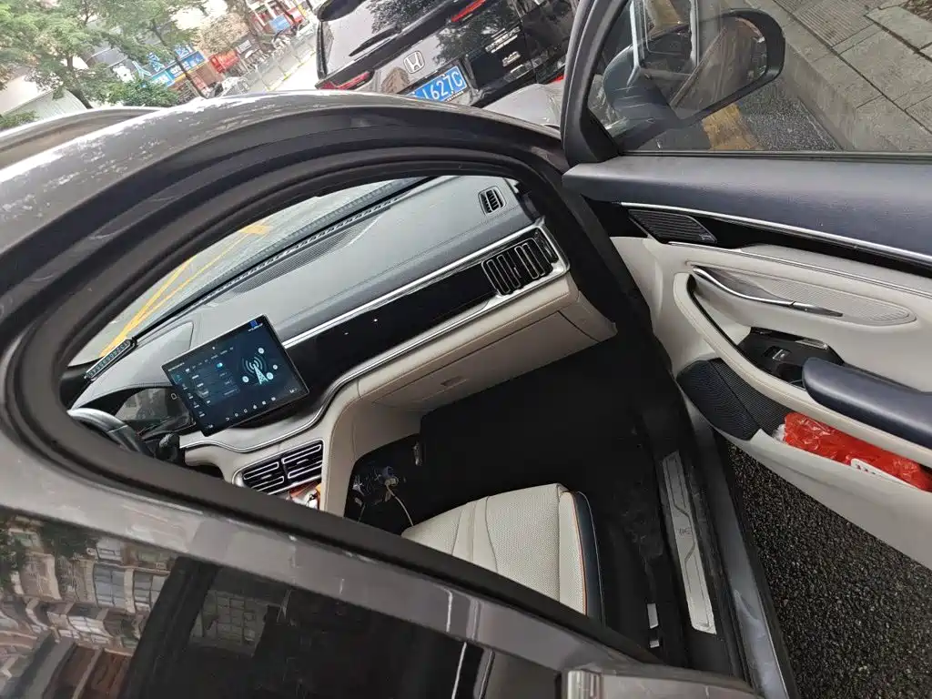 BYD Song PLUS New Energy 2022 — фото 20