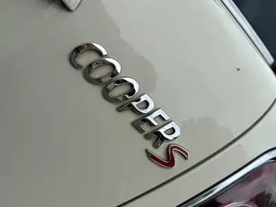 MINI MINI 2010