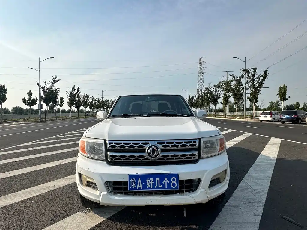 Dongfeng Ruiqi 2017