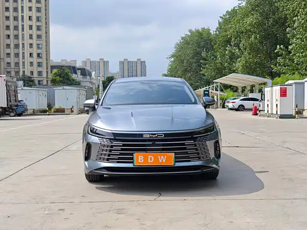 BYD Destroyer 05 2024
