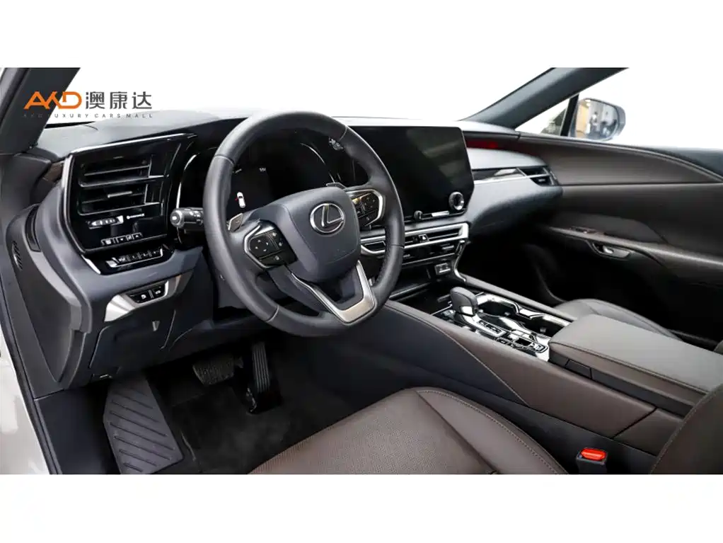 Lexus RX New Energy 2023 — фото 6