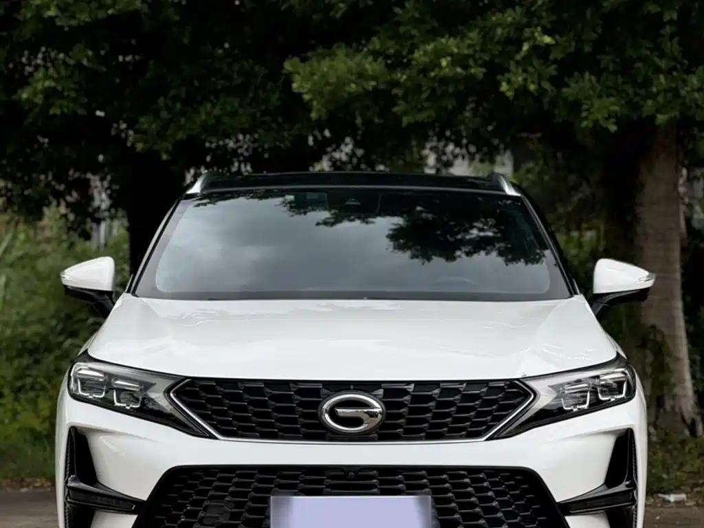 GAC Trumpchi GS4 2021 — фото 13