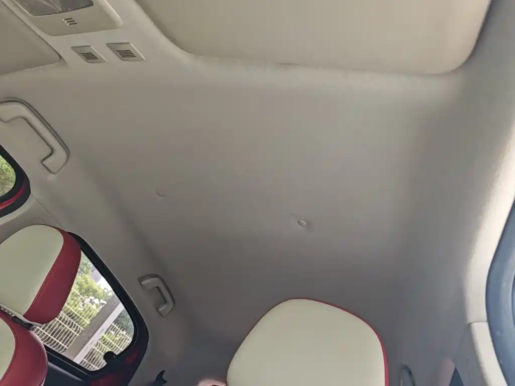 Ora Black Cat 2019 — фото 18