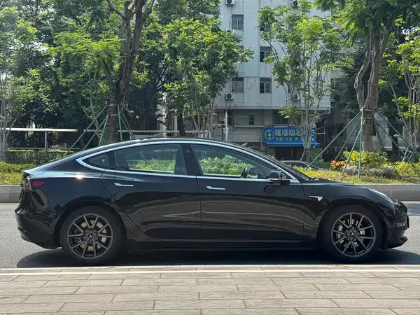 Tesla Model 3 2019