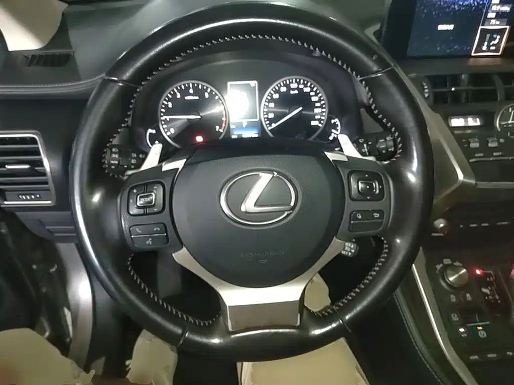 Lexus NX 2020 — фото 11
