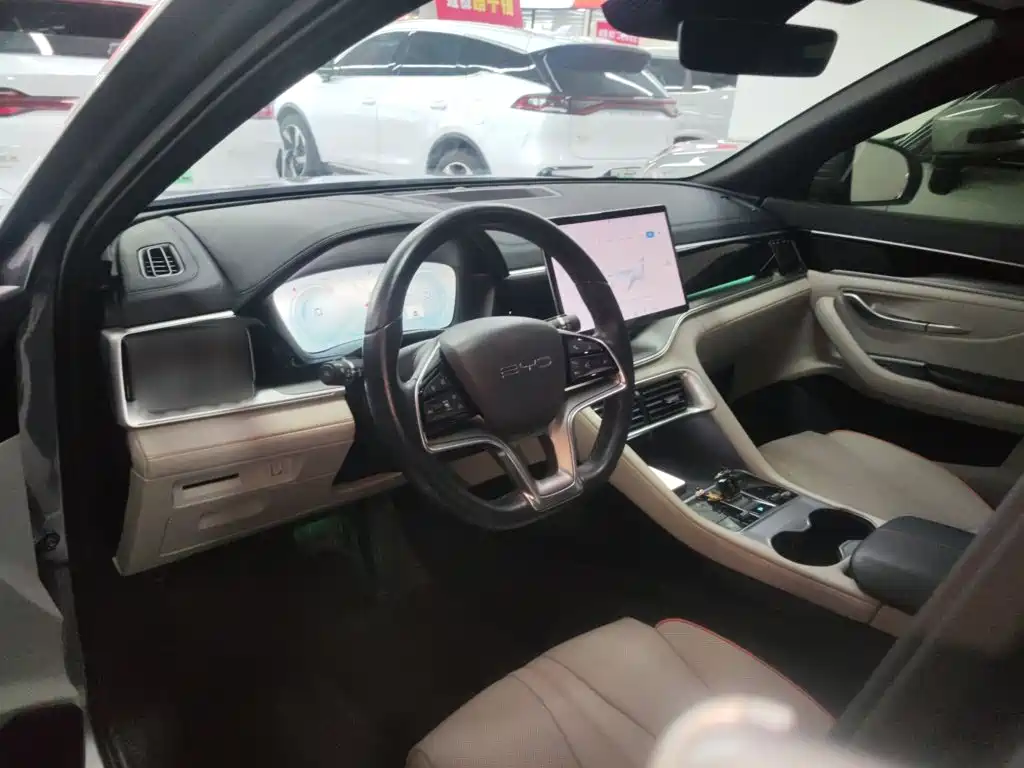 BYD Song PLUS New Energy 2023 — фото 6