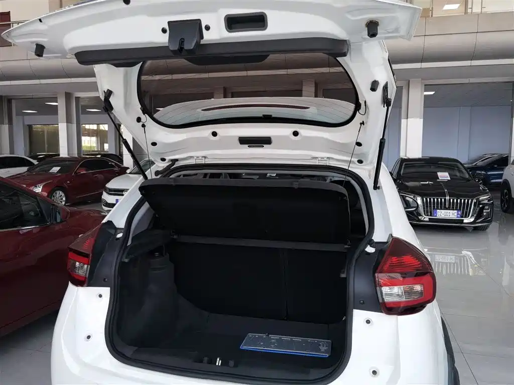 Chery Tiggo 3x 2021 — фото 19
