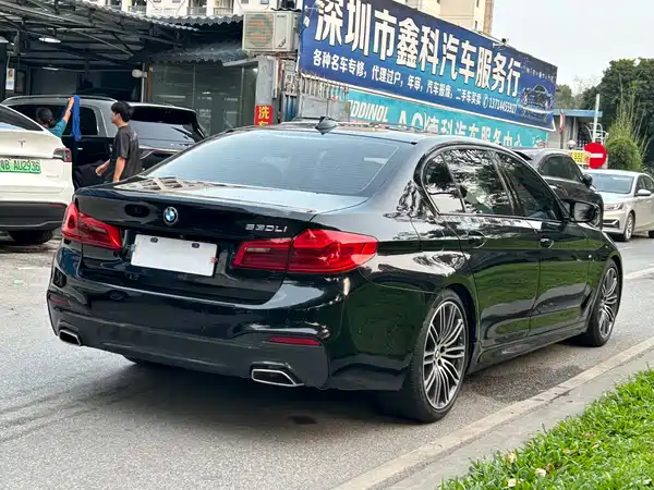 BMW 5 Series 2019