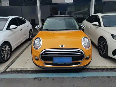 MINI MINI 2017