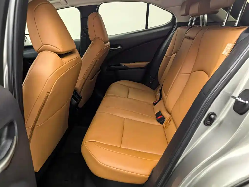 Lexus UX 2020 — фото 10