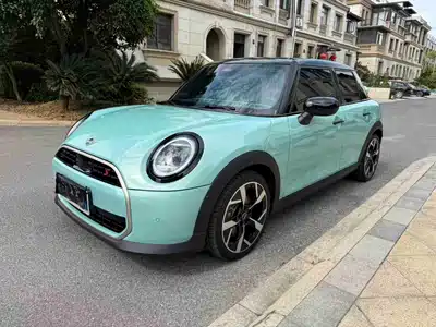 MINI MINI 2025