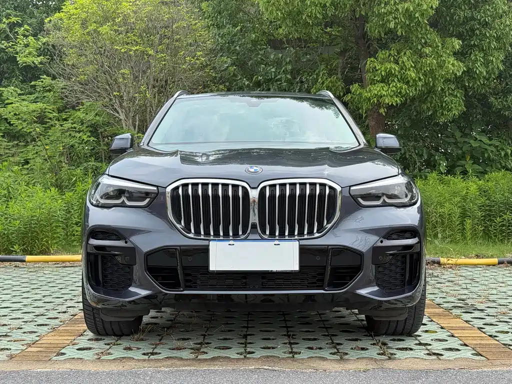 BMW X5 2021 — фото 2