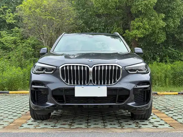 BMW X5 2021