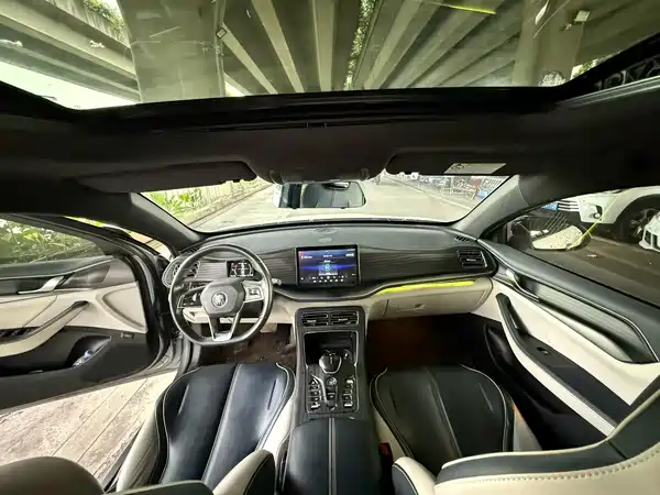 BYD Qin PLUS 2021