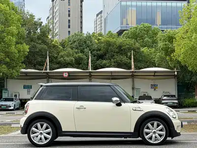 MINI MINI 2010