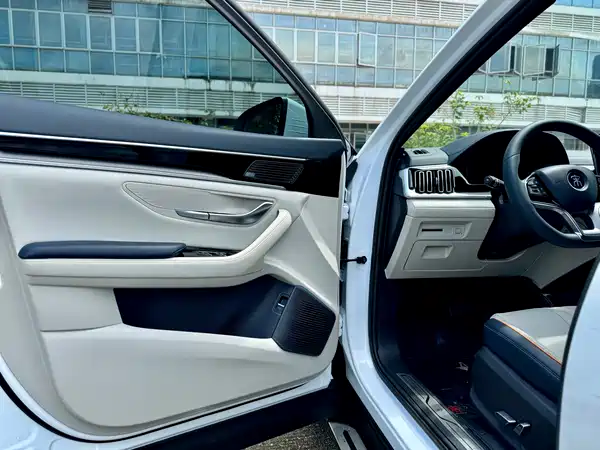 BYD Song PLUS New Energy 2021