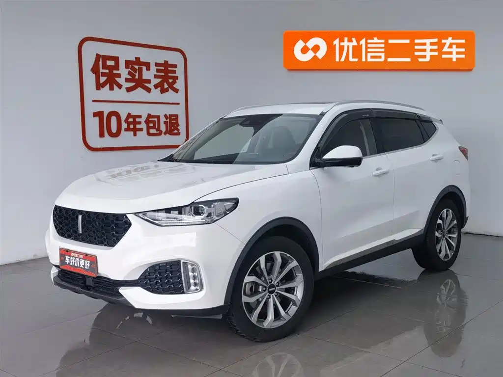 Wey VV6 2019