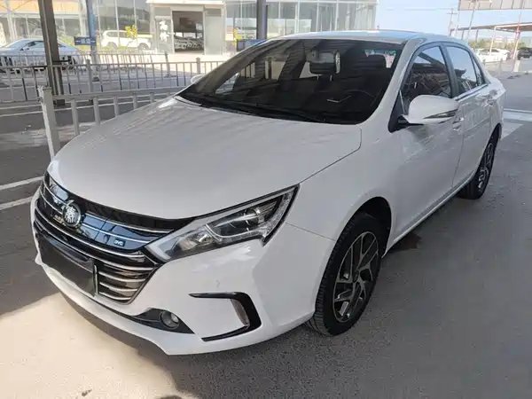 BYD Qin NEV 2019