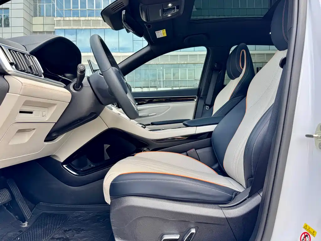 BYD PLUS New Energy 2022 — фото 14