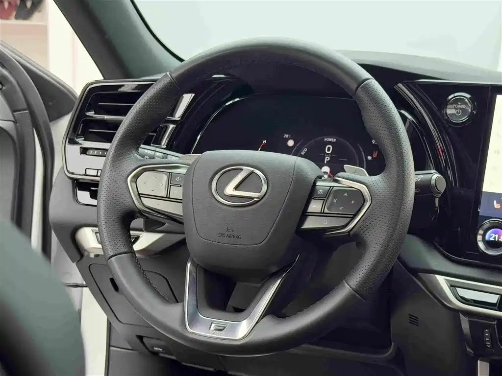Lexus RX 2024 — фото 13