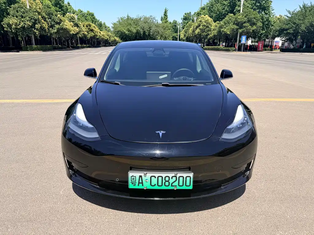 Tesla Model 3 2021 — фото 2