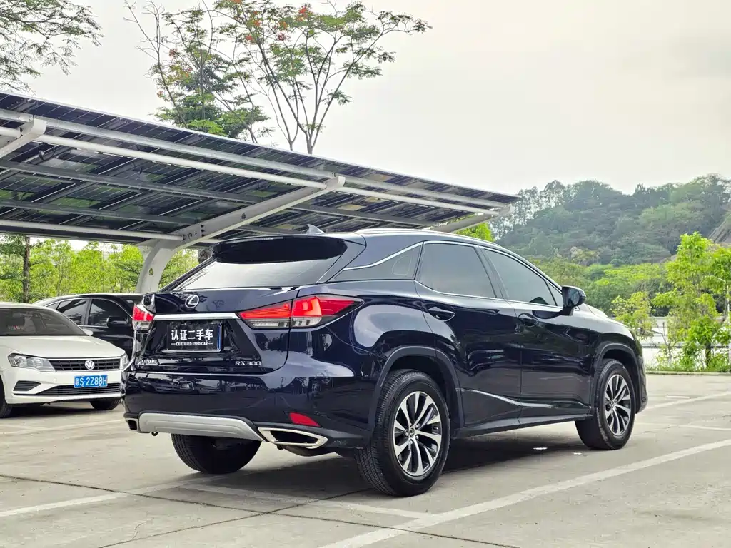 Lexus RX 2021 — фото 16