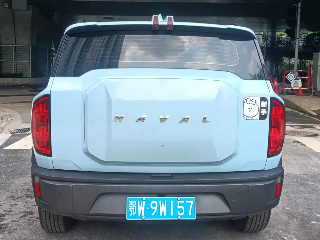 Haval Cool Dog 2022 — фото 9