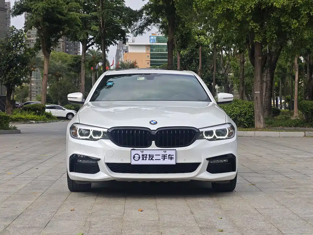 BMW 5 Series 2019 — фото 2