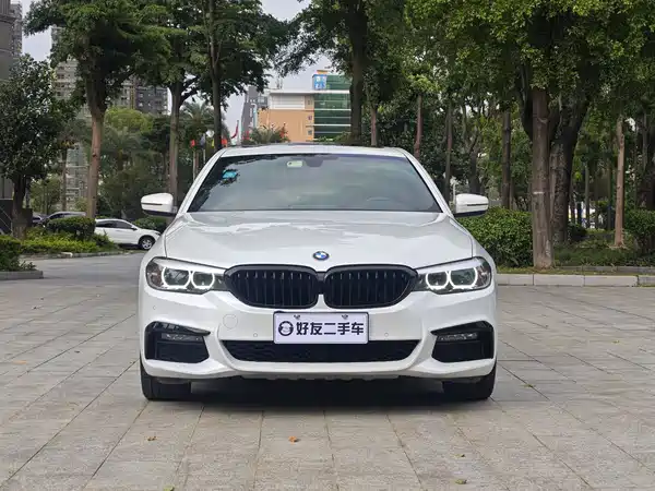 BMW 5 Series 2019