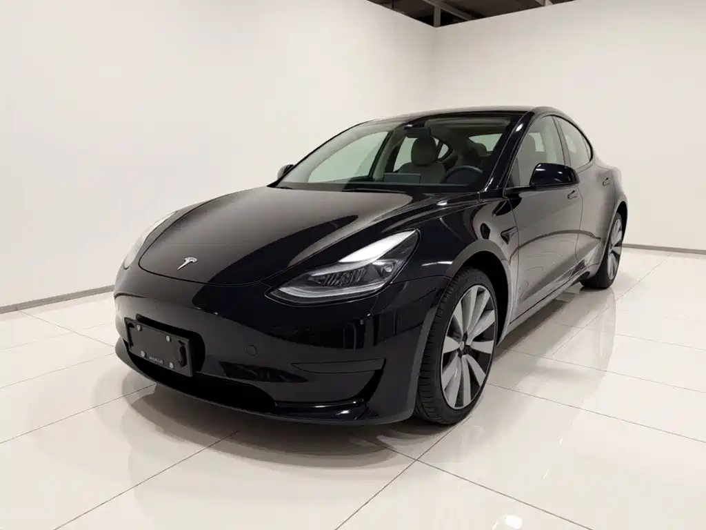 Tesla Model 3 2021 — фото 1