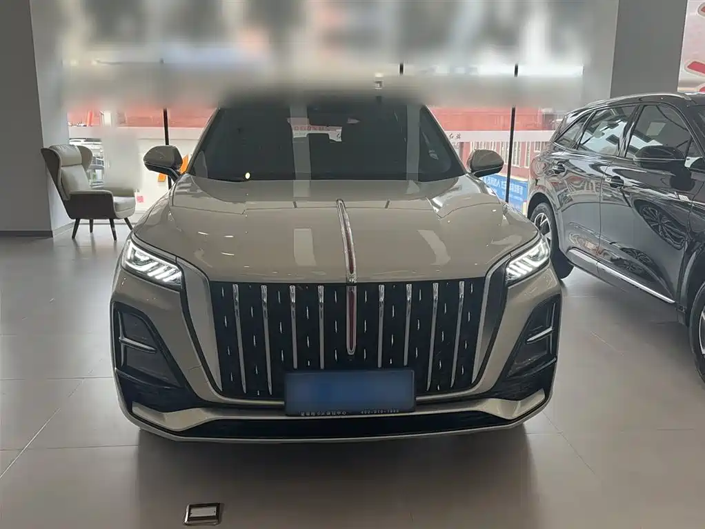 Hongqi HS5 2023 — фото 11