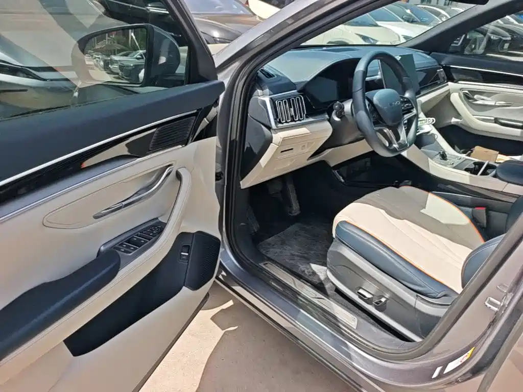 BYD Song PLUS New Energy 2024 — фото 12