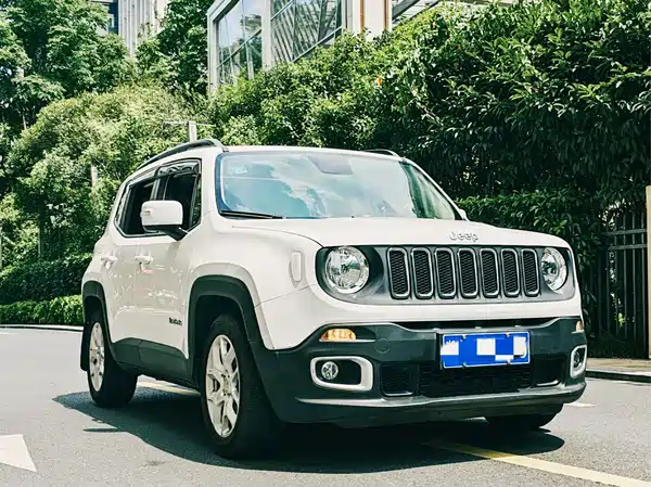 Jeep Freeman 2017