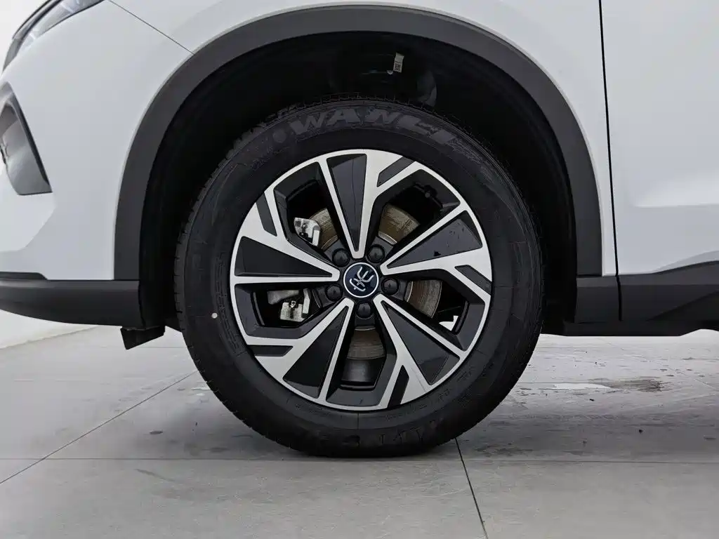 BYD Song Pro New Energy 2025 — фото 17