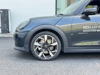 MINI MINI 2025
