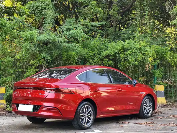 BYD Qin PLUS 2021
