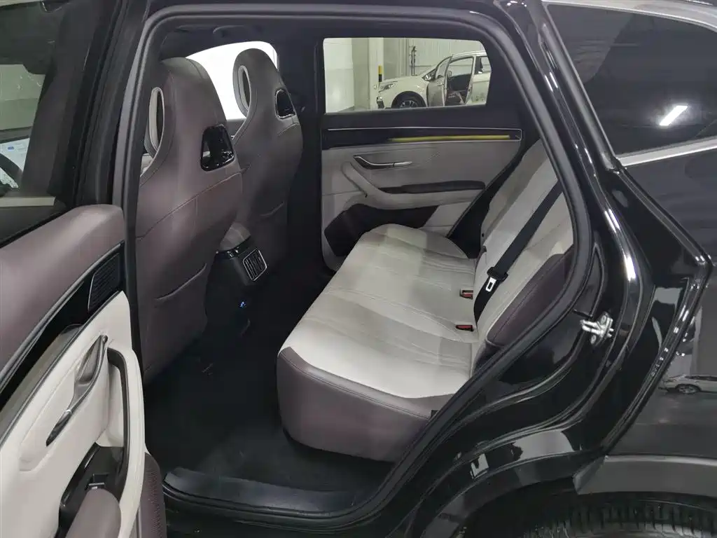 BYD PLUS New Energy 2025 — фото 15