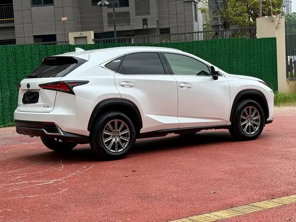 Lexus NX 2019 — фото 9