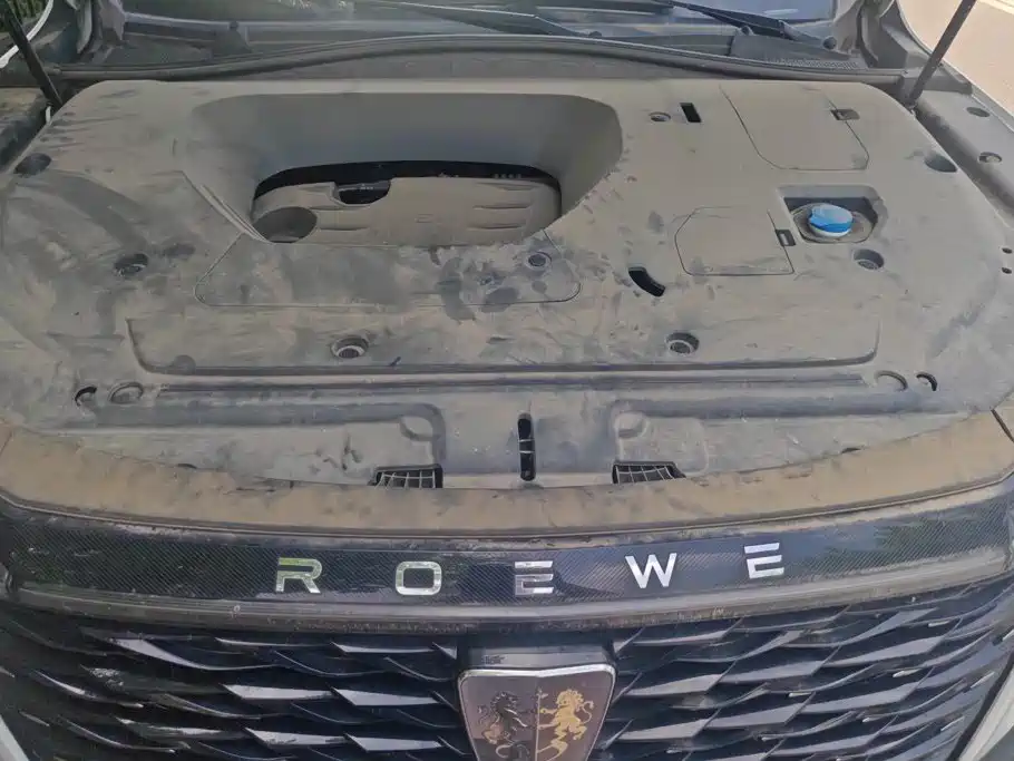 Roewe RX5 MAX 2023 — фото 10