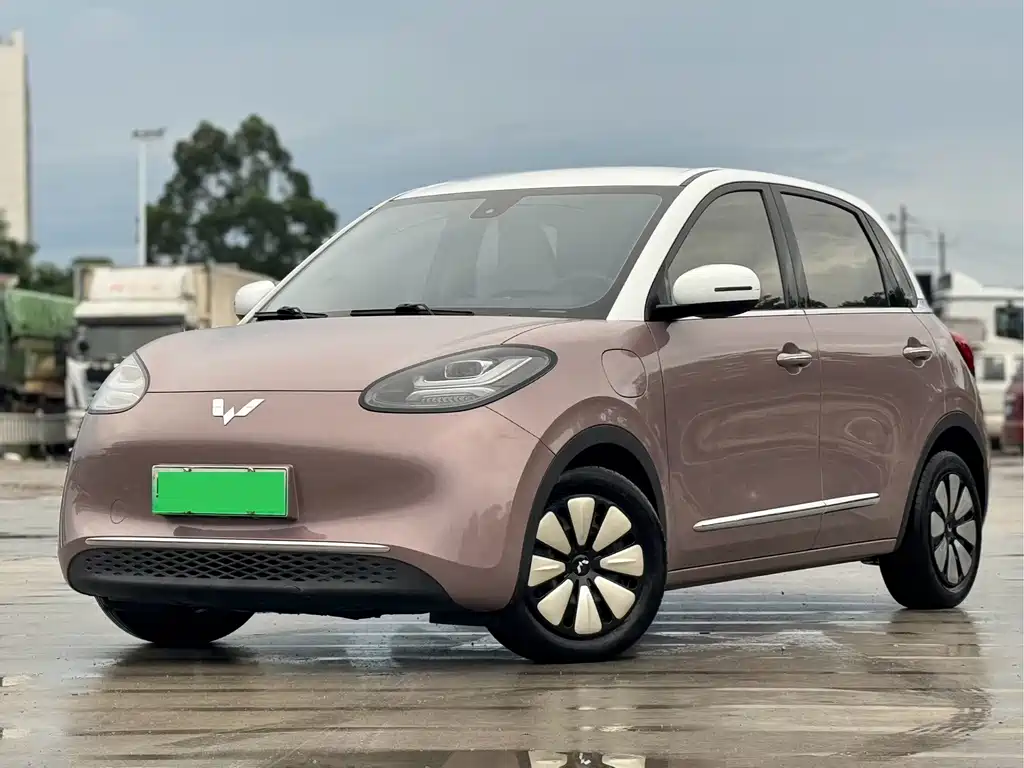 Wuling Bingo 2024