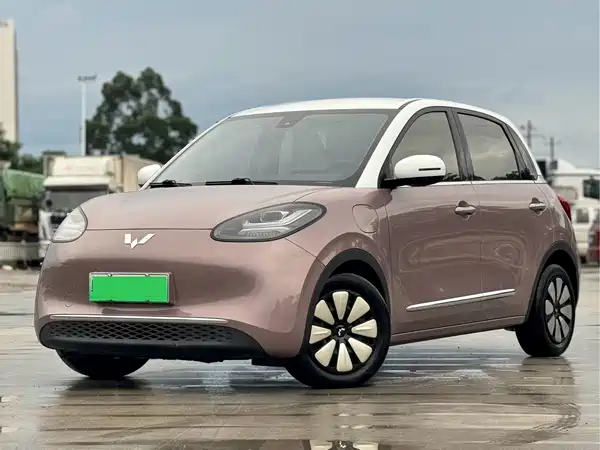 Wuling Bingo 2024